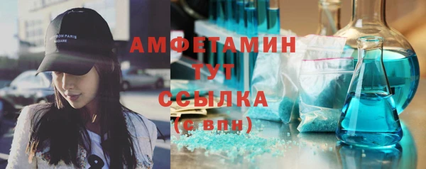 ГАЛЛЮЦИНОГЕННЫЕ ГРИБЫ Богданович