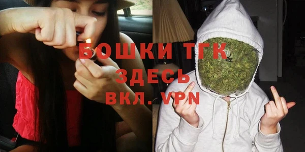 ГАЛЛЮЦИНОГЕННЫЕ ГРИБЫ Богданович
