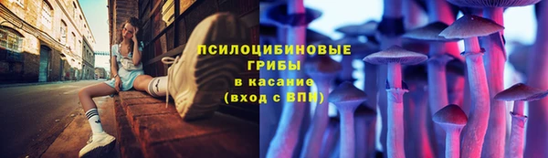 spice Богородск