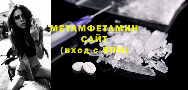ГАЛЛЮЦИНОГЕННЫЕ ГРИБЫ Богданович