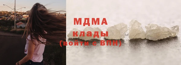 spice Богородск