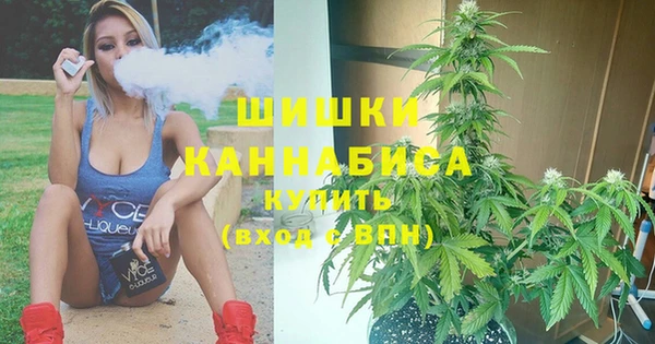 ГАЛЛЮЦИНОГЕННЫЕ ГРИБЫ Богданович