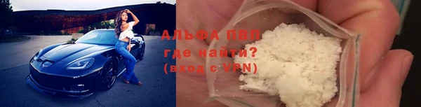 ГАЛЛЮЦИНОГЕННЫЕ ГРИБЫ Богданович