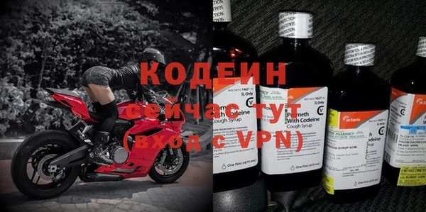 ГАЛЛЮЦИНОГЕННЫЕ ГРИБЫ Богданович