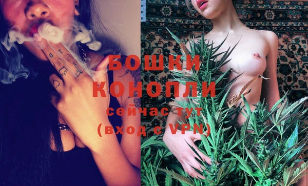 твердый Богородицк