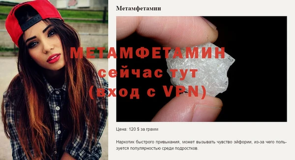 ГАЛЛЮЦИНОГЕННЫЕ ГРИБЫ Богданович